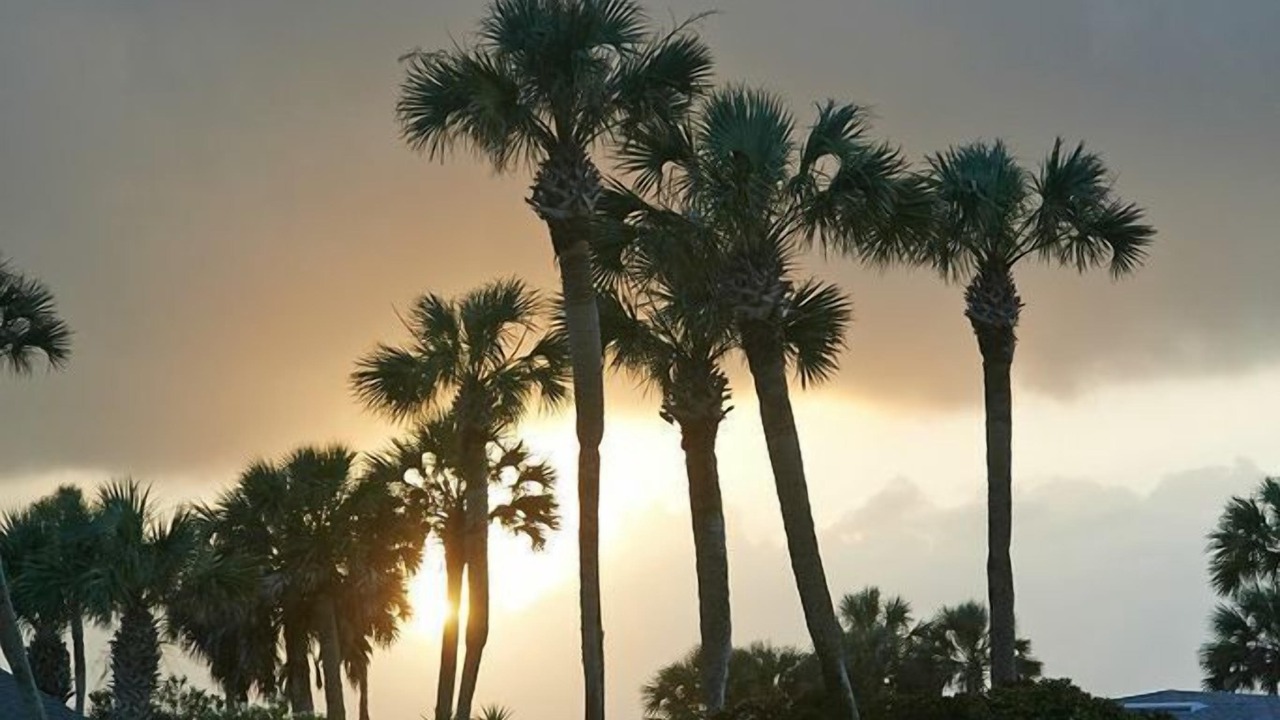 Photo of Others in Ponte Vedra Beach