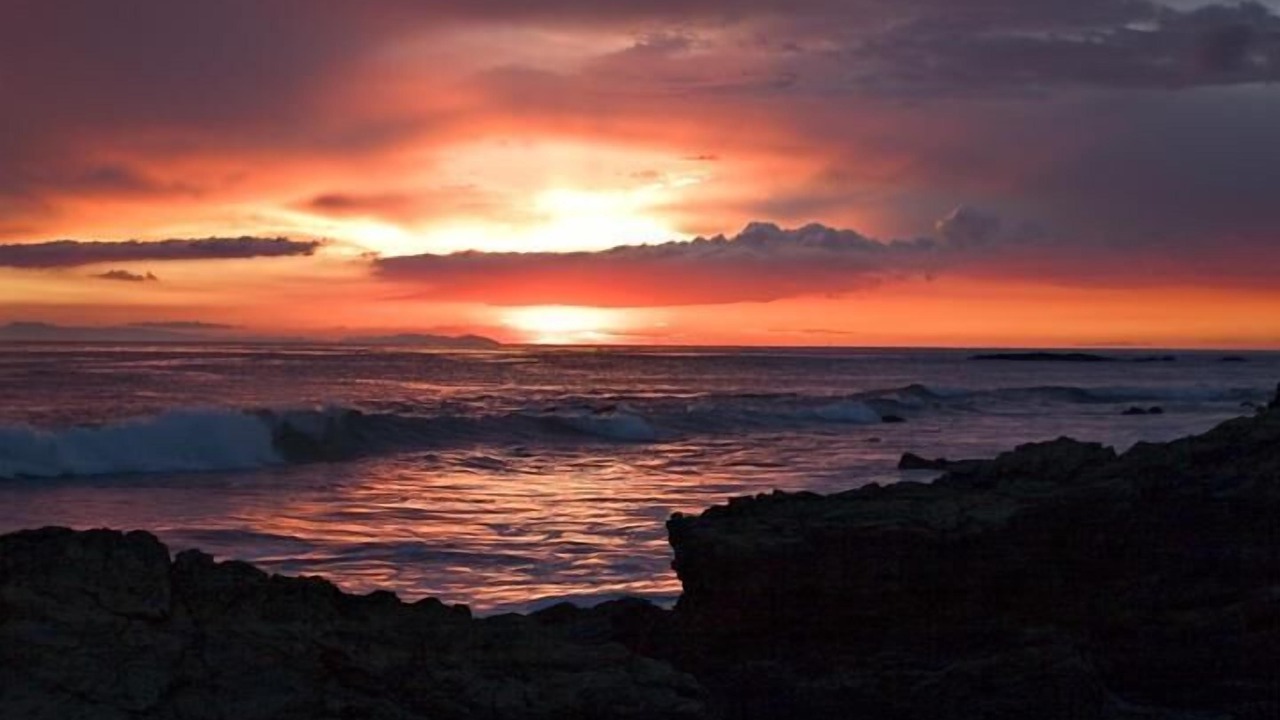 Photo of Others in Bodega Bay