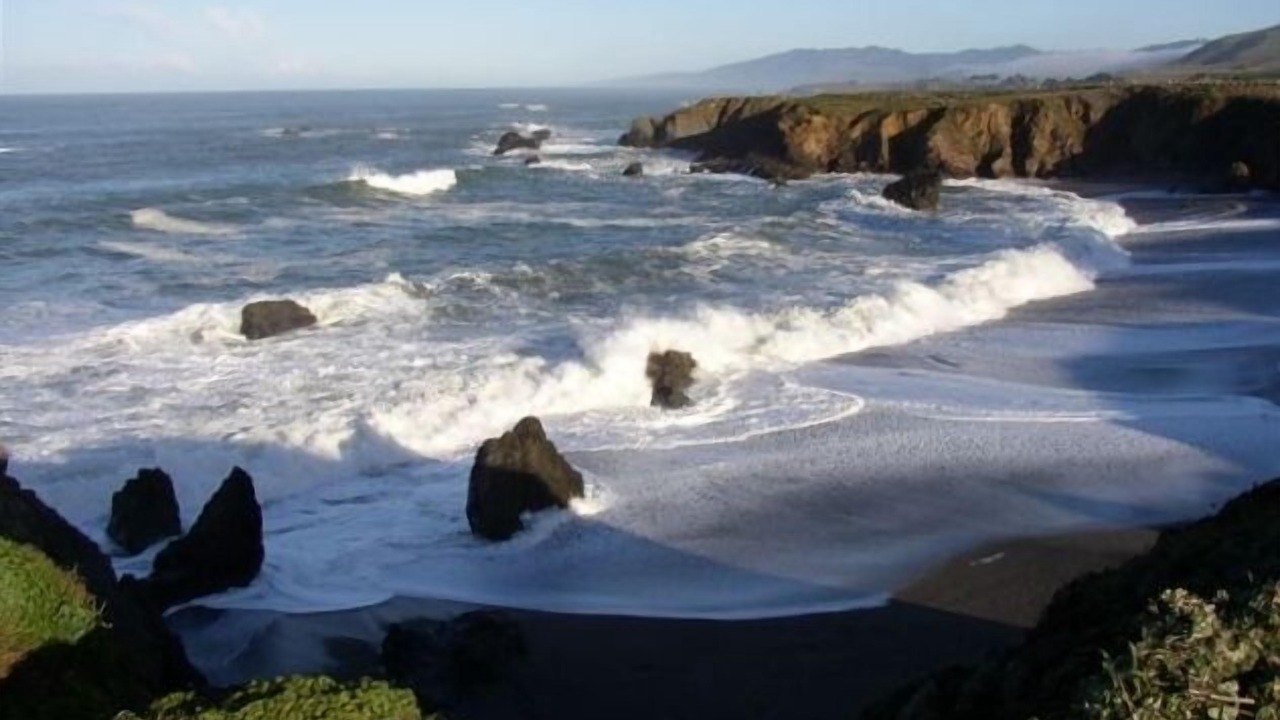 Photo of Others in Bodega Bay