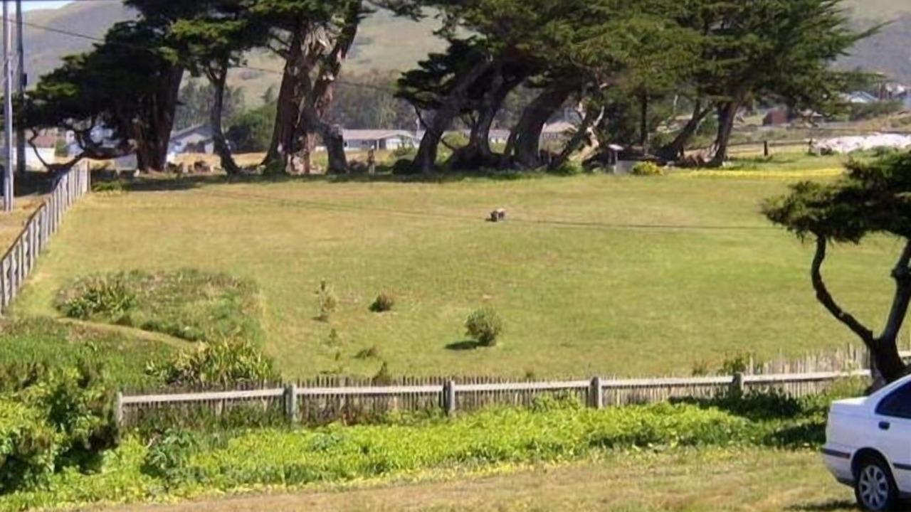 Photo of Others in Bodega Bay