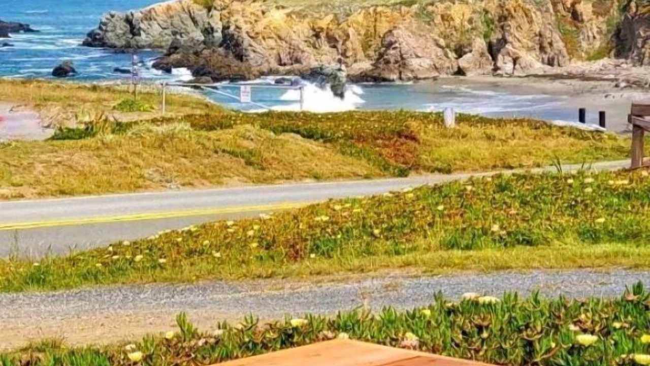 Photo of Outdoor in Bodega Bay