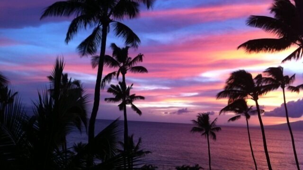 Photo of Others in Honokowai