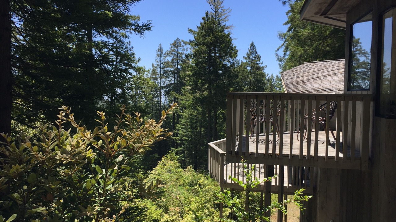 Photo of Outdoor in Timber Cove