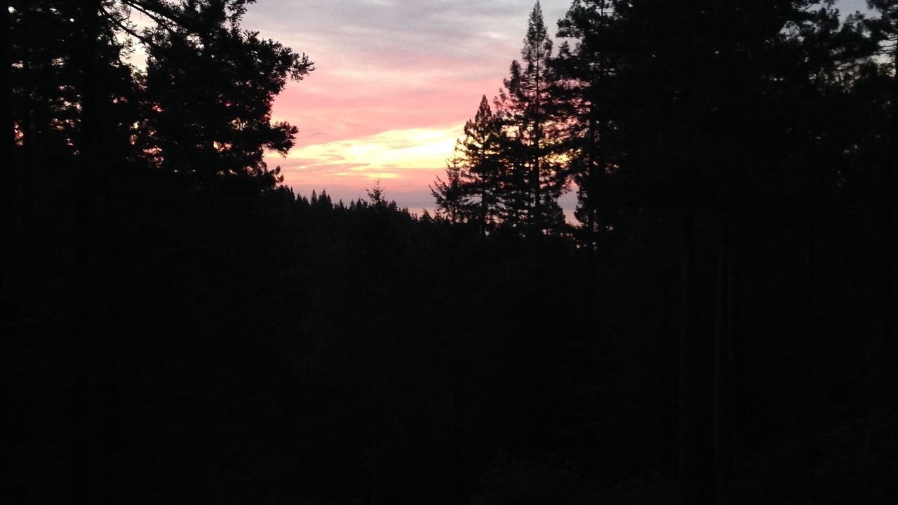 Photo of Bedroom in Timber Cove