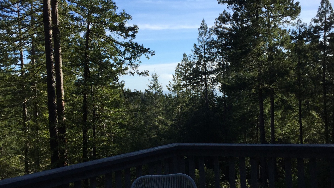 Photo of Others in Timber Cove