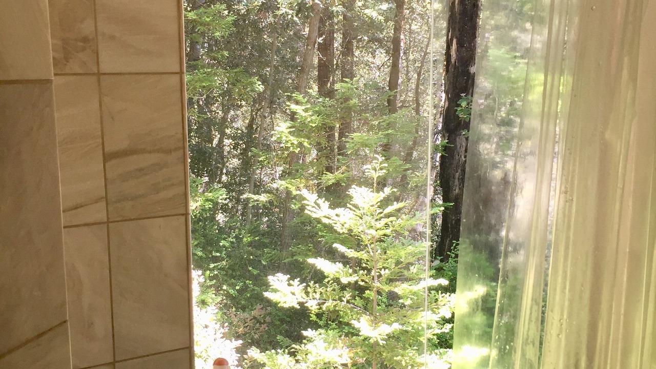 Photo of Others in Timber Cove