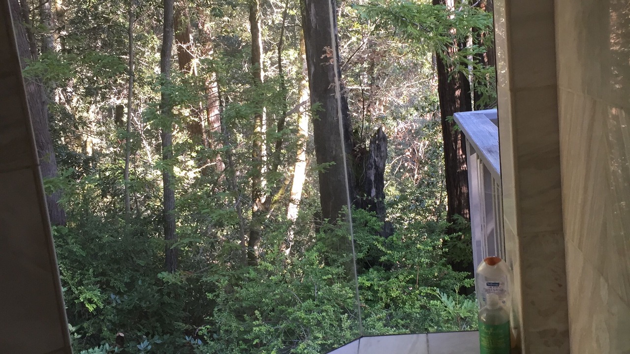 Photo of Others in Timber Cove