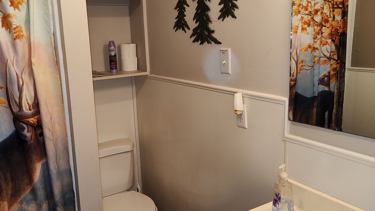 Photo of Bathroom in Bronson