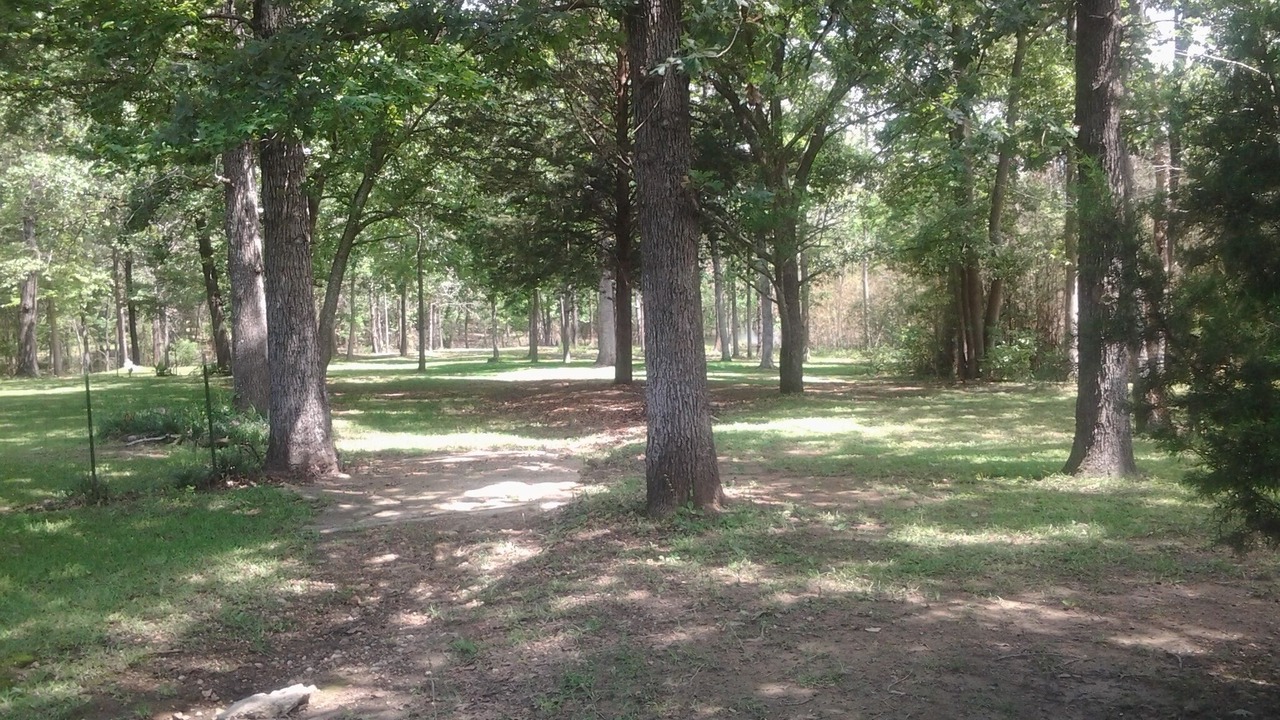 Photo of Outdoor in Bronson