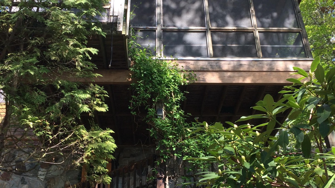 Photo of Outdoor in Kattskill Bay