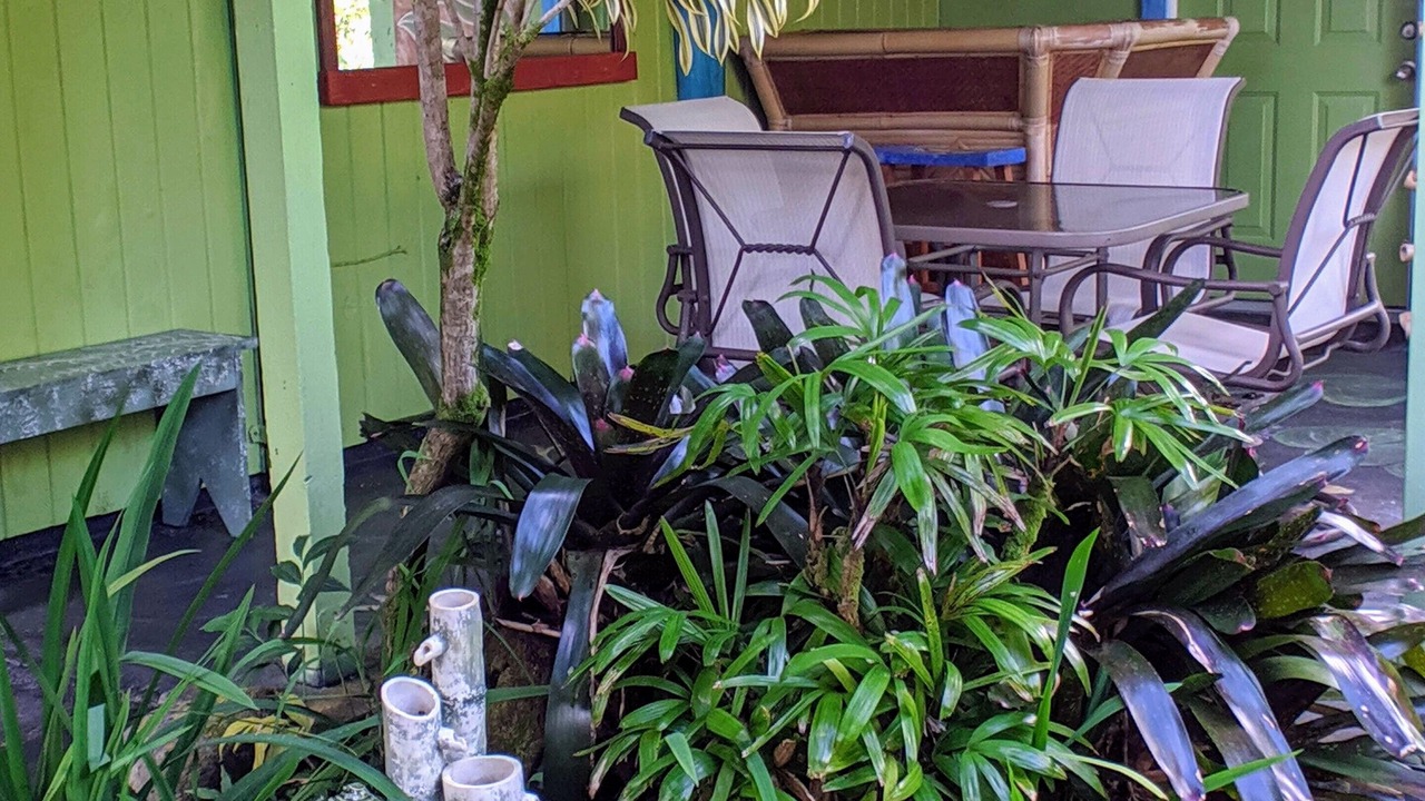 Photo of Outdoor in Keaau