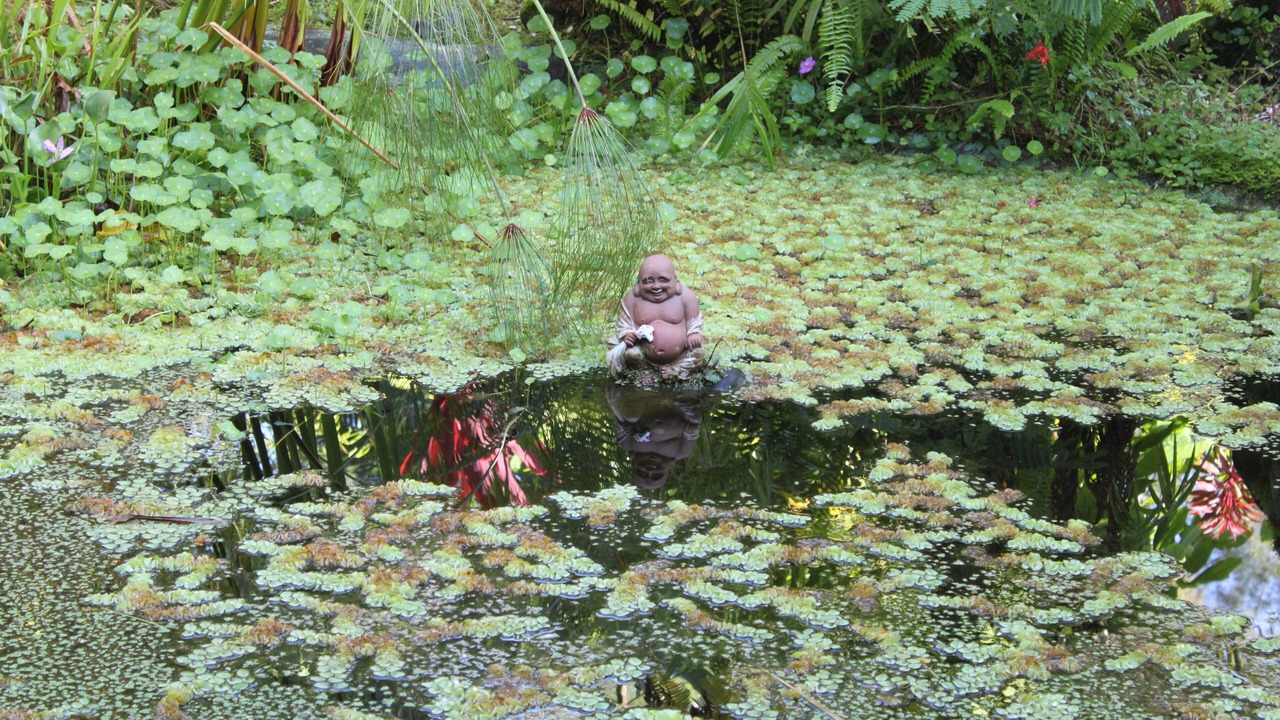 Photo of Others in Keaau