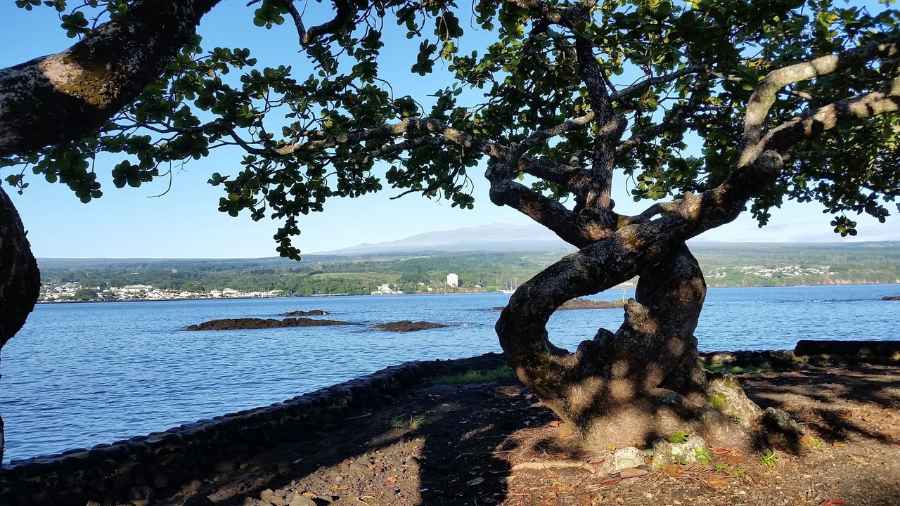 Photo of Others in Keaau