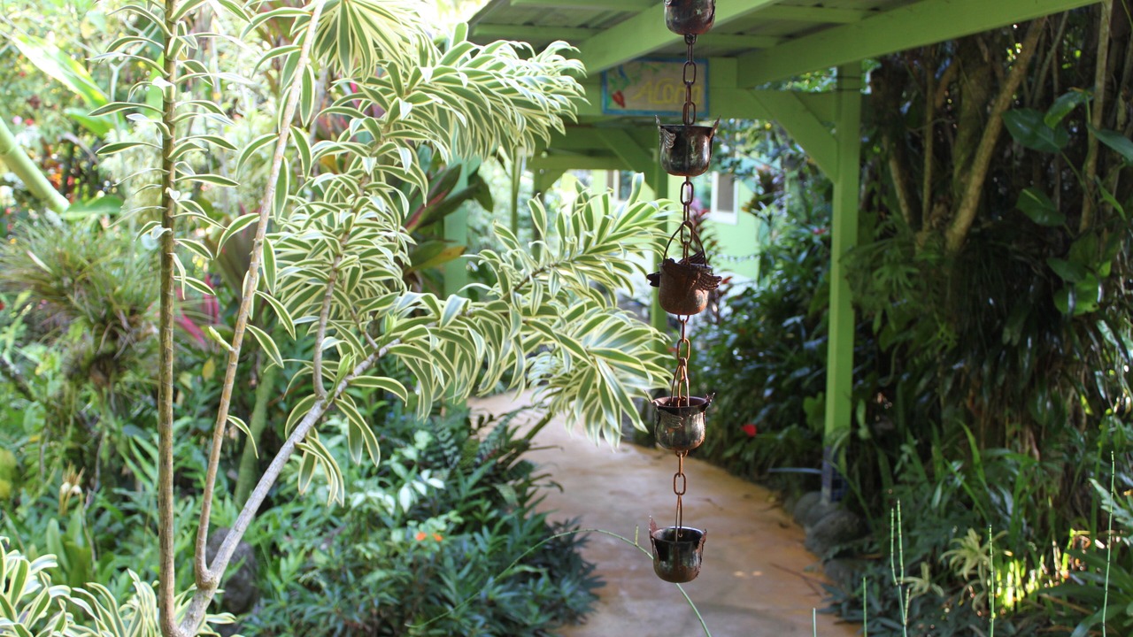 Photo of Outdoor in Keaau