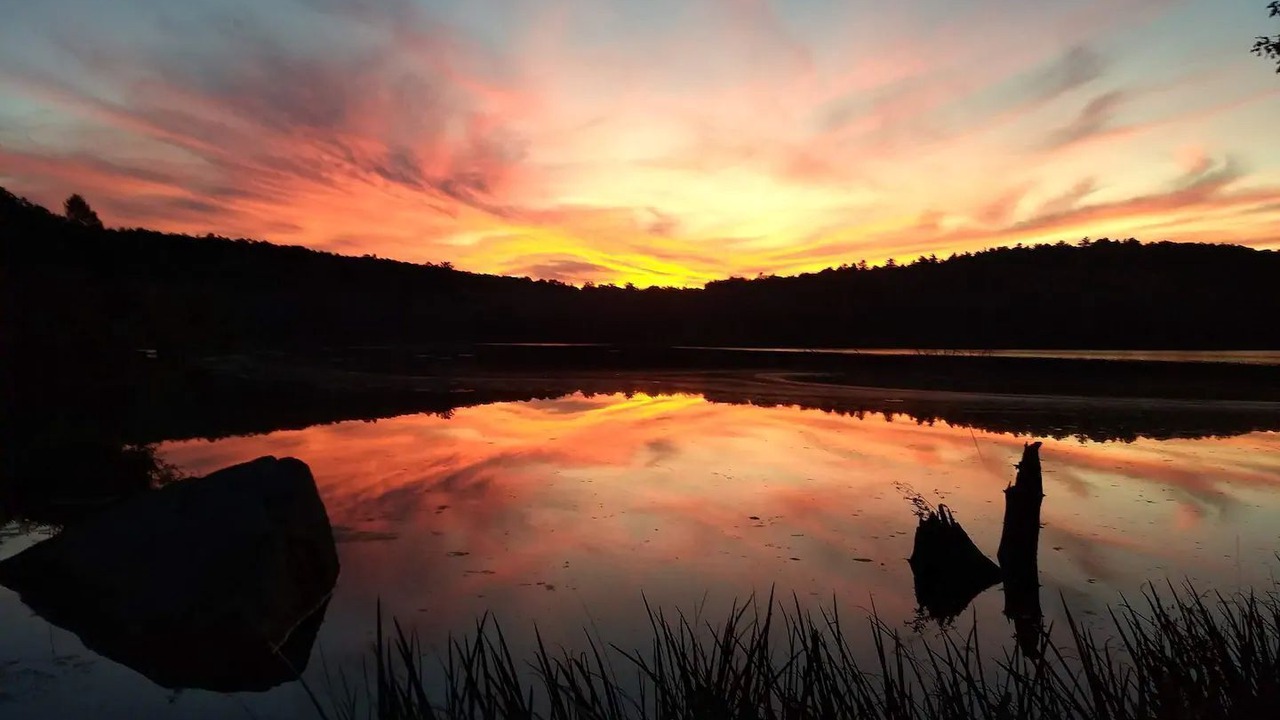 Photo of Others in Smallwood