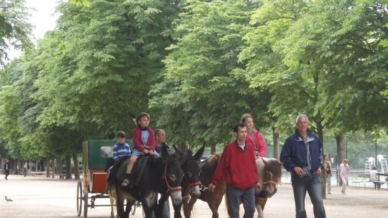 Photo of Others in Notre-Dame-des-Champs