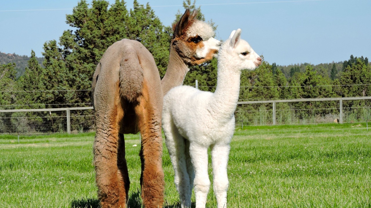 Photo of Others in Walterville