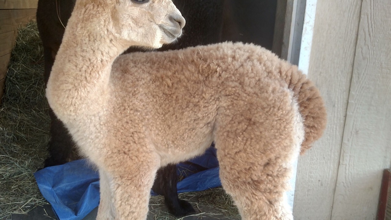 Photo of Others in Walterville