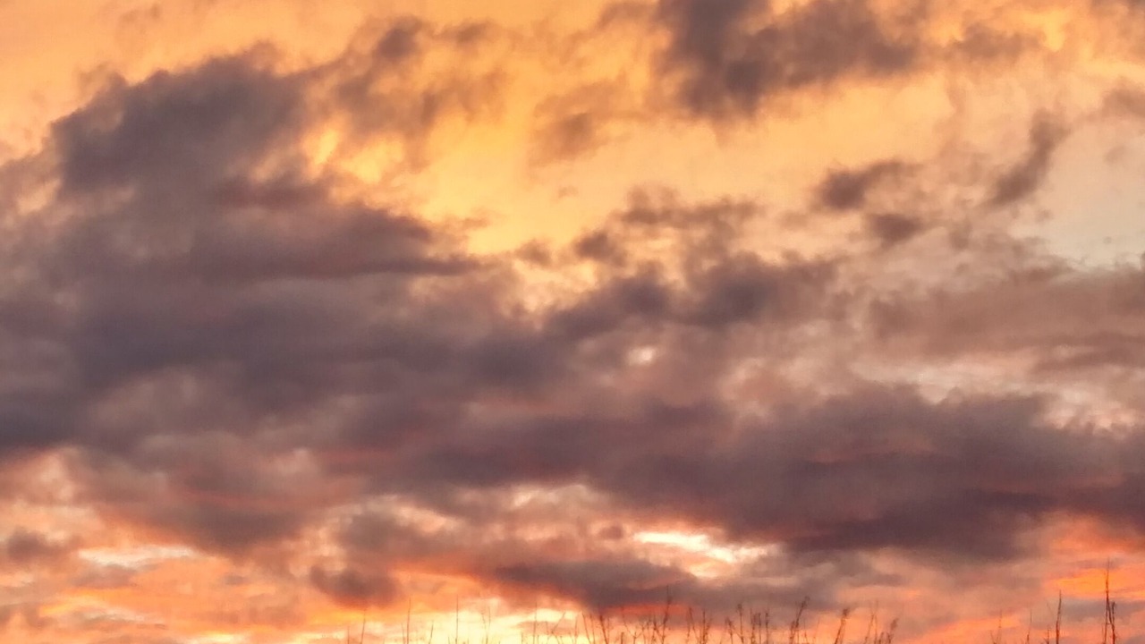 Photo of Others in Walterville