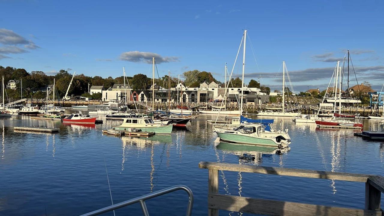 Photo of Others in Camden