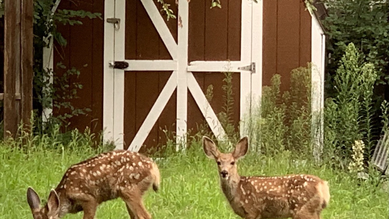 Photo of Outdoor in Broadmoor