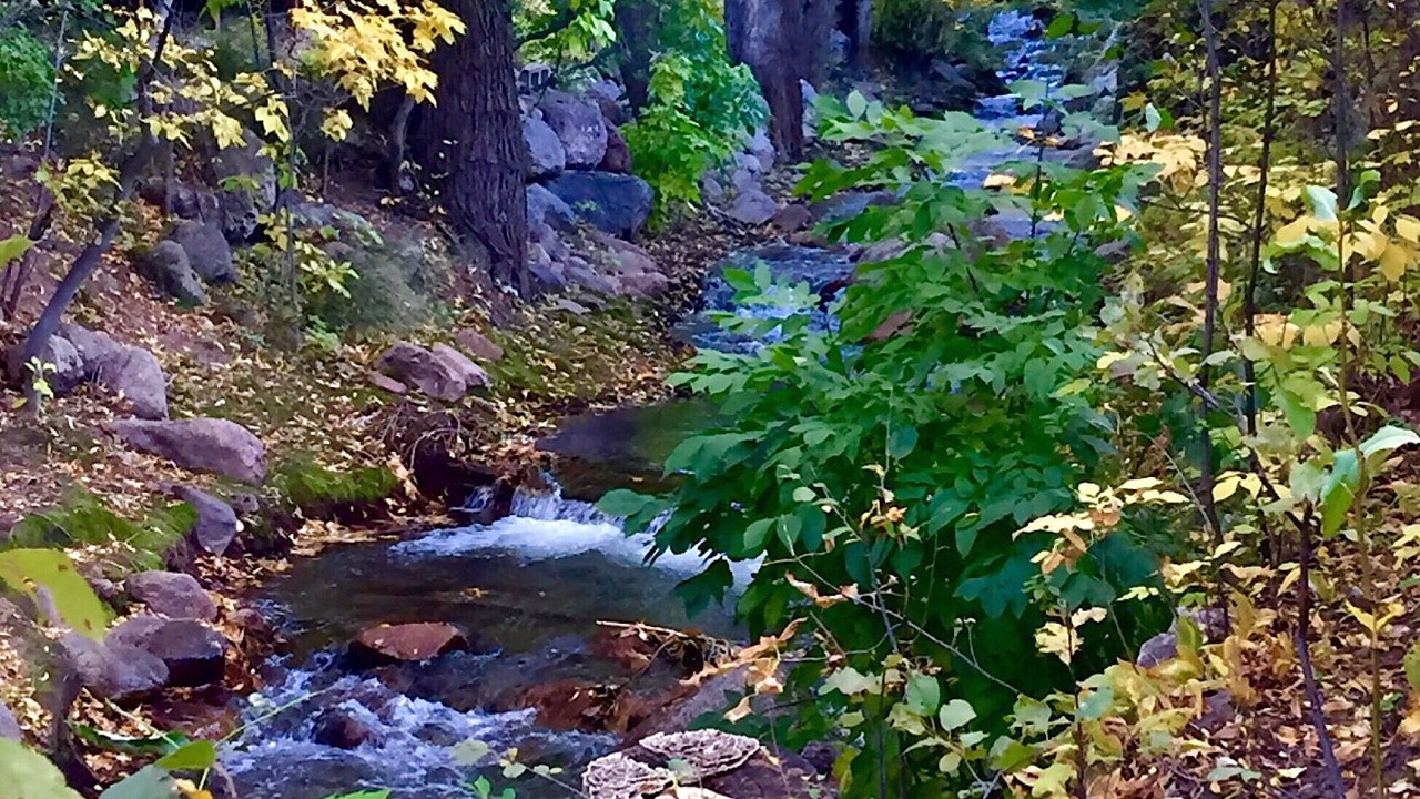 Photo of Outdoor in Broadmoor