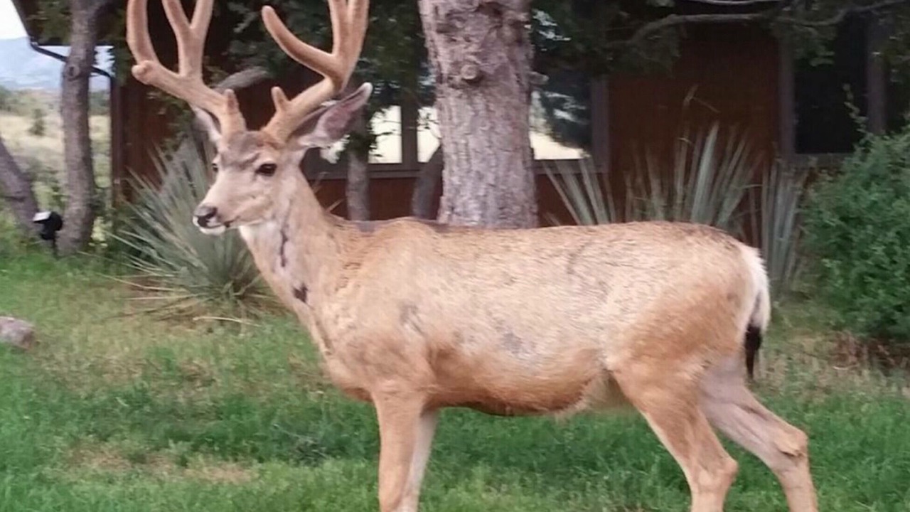 Photo of Outdoor in Broadmoor