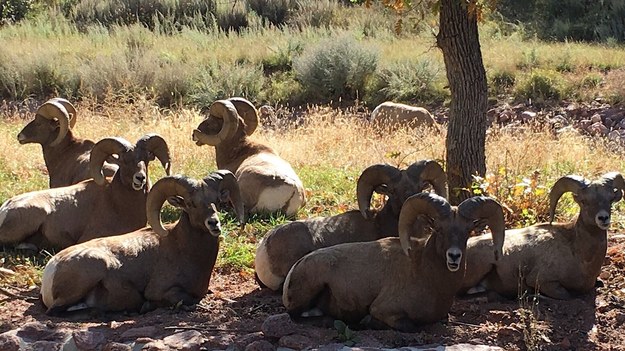 Photo of Others in Broadmoor