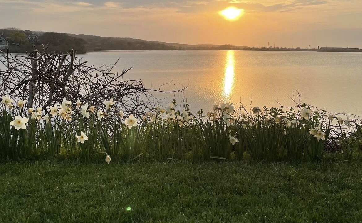 Photo of Others in Montauk