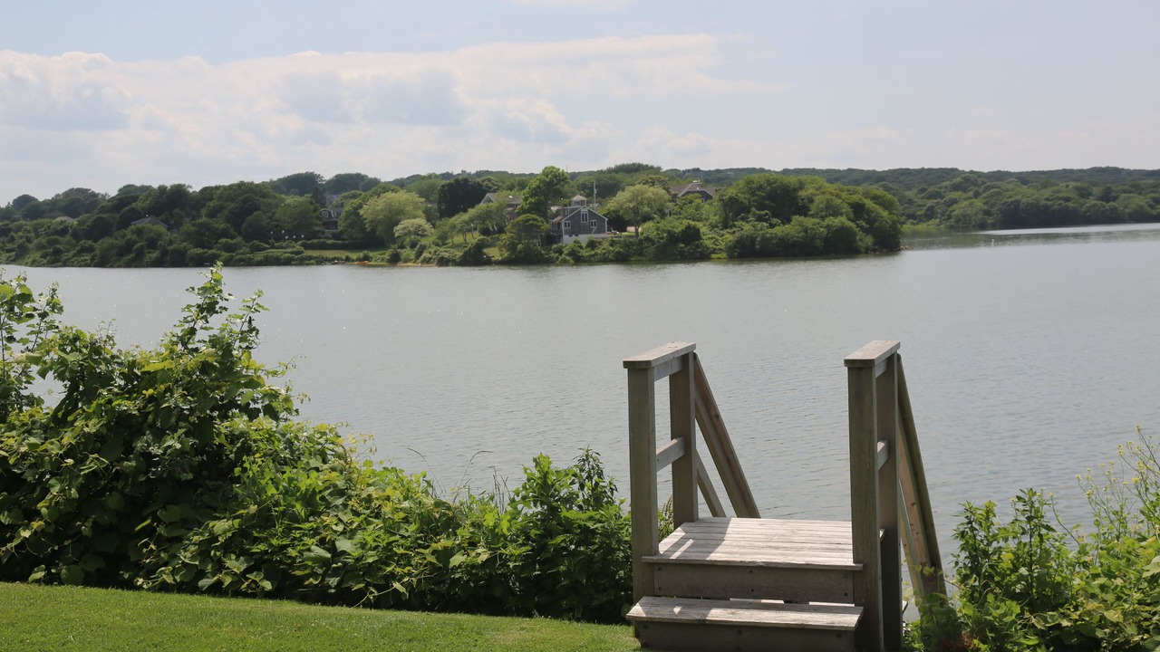 Photo of Others in Montauk