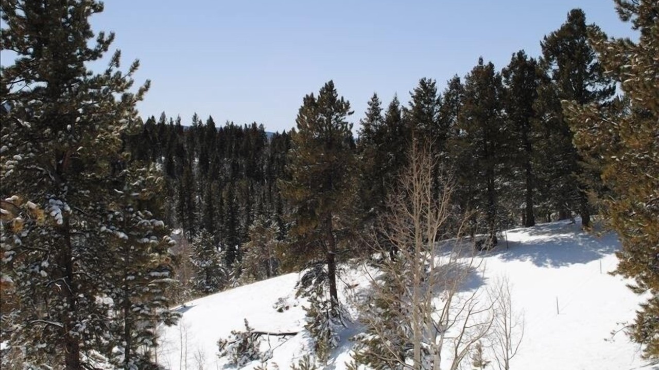 Photo of Outdoor in Woodland Park