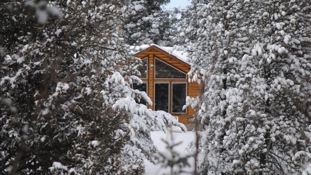 Photo of Others in Woodland Park