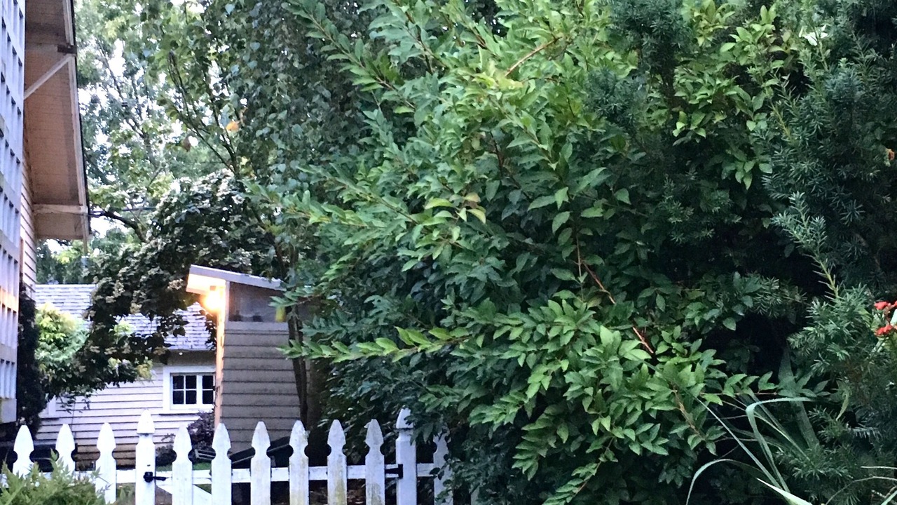 Photo of Outdoor in Alberta Arts District