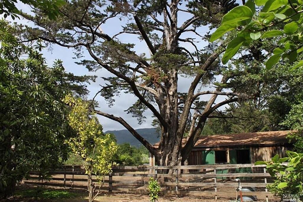 Photo of Outdoor in Eldridge