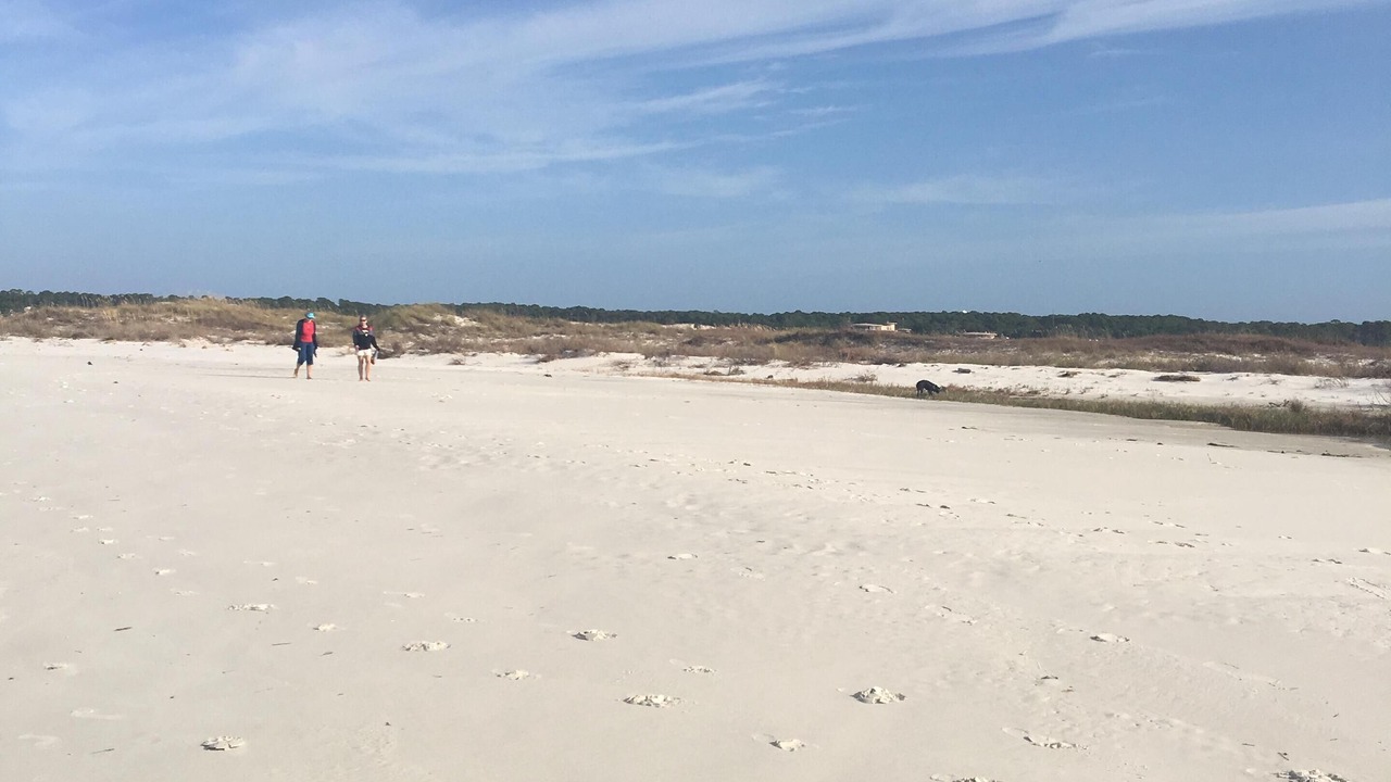 Photo of Others in Dauphin Island