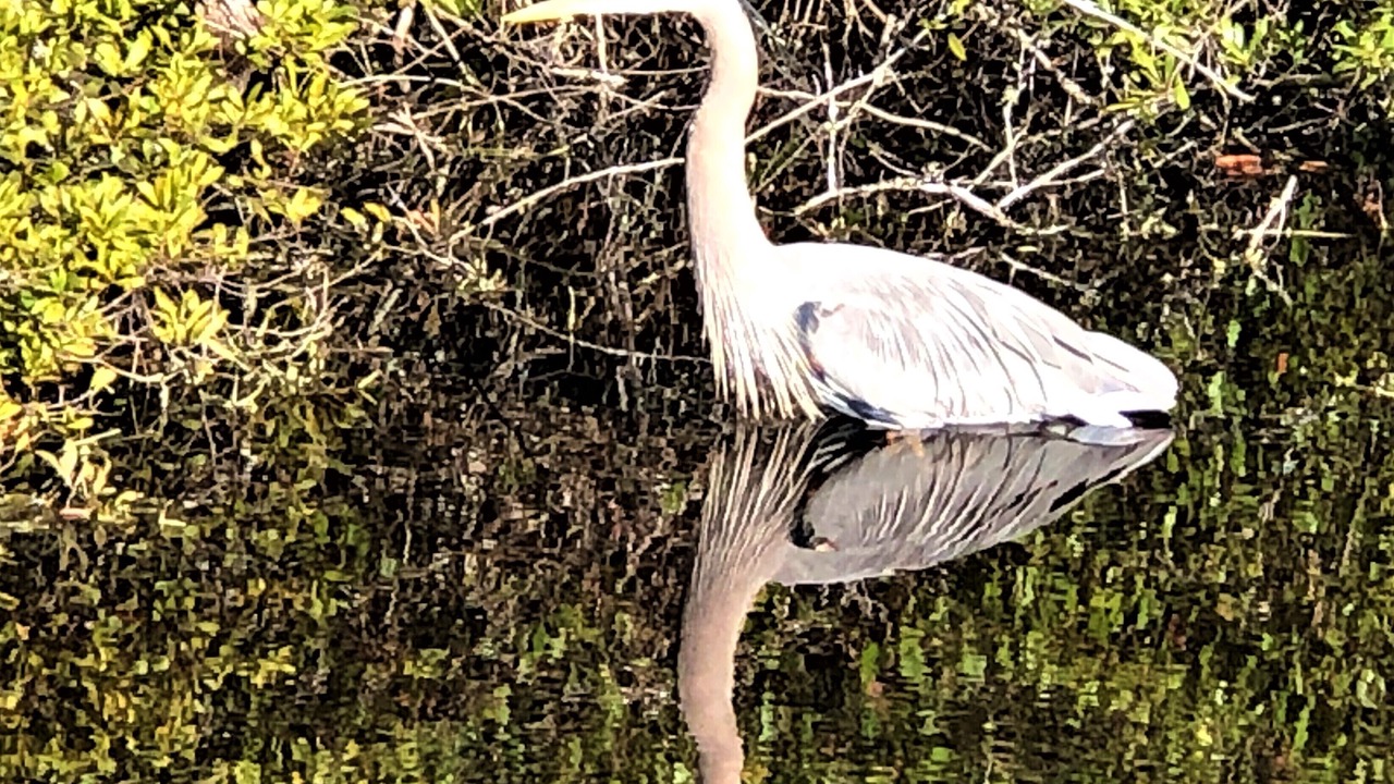 Photo of Others in Santa Rosa Beach