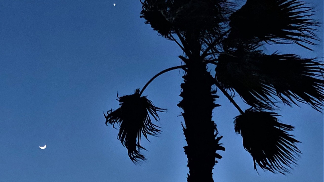 Photo of Outdoor in Santa Rosa Beach