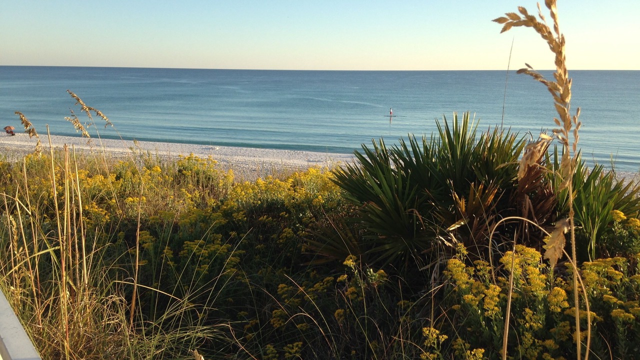 Photo of Outdoor in Santa Rosa Beach