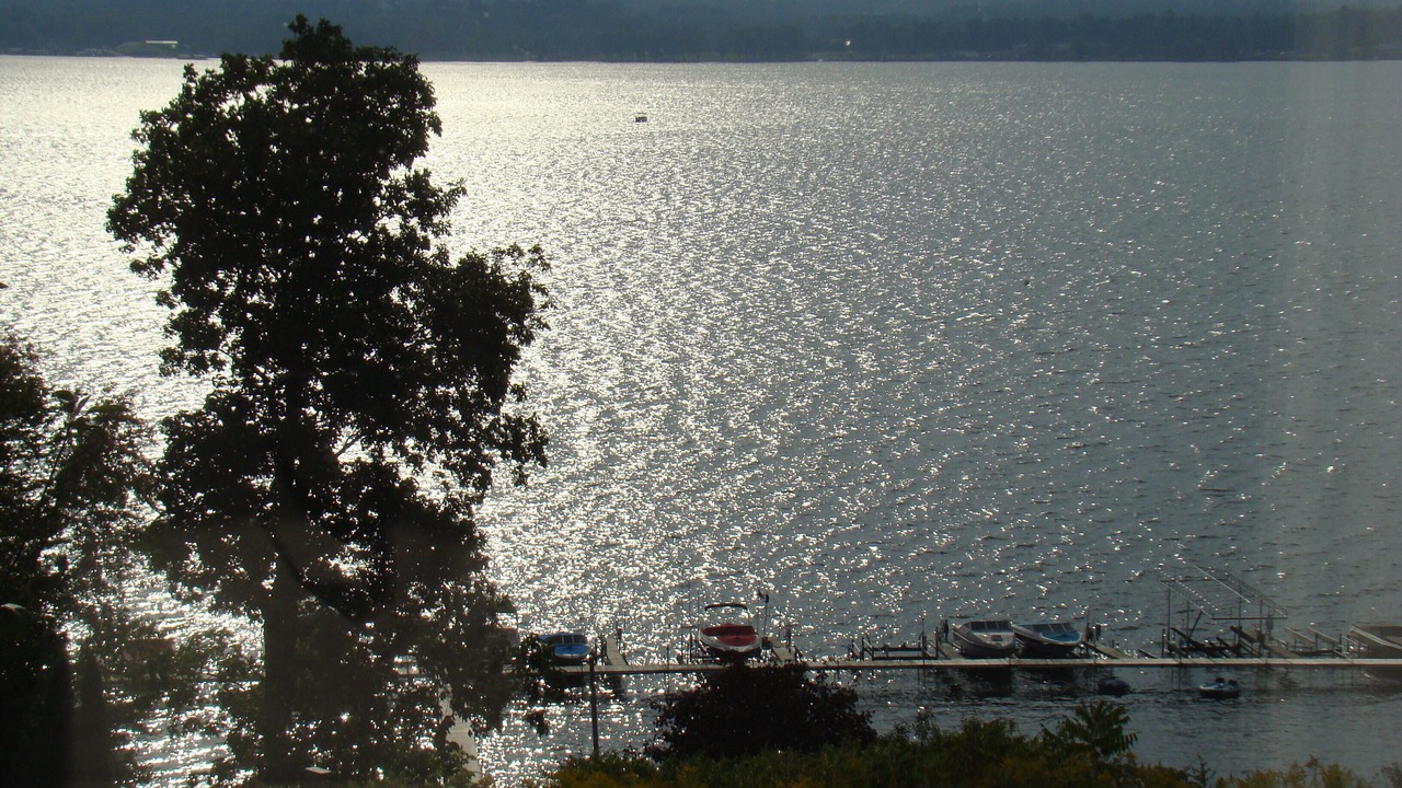 Photo of Others in Dewittville