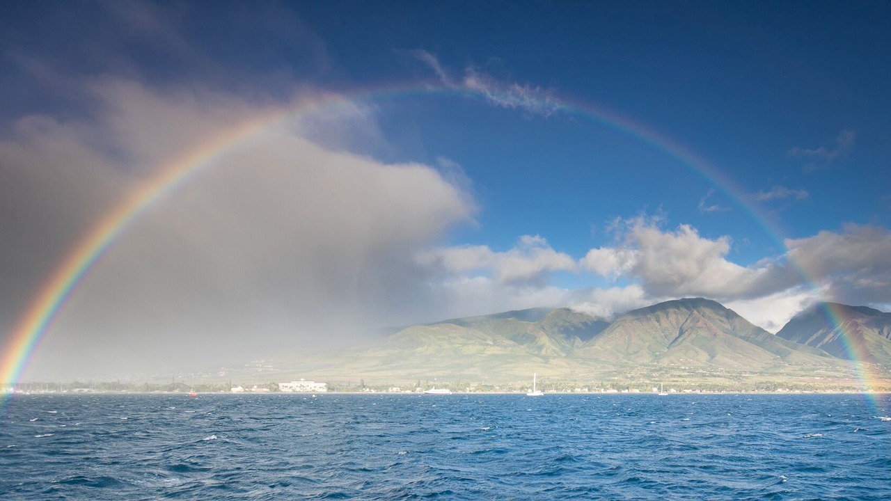 Photo of Others in Kihei