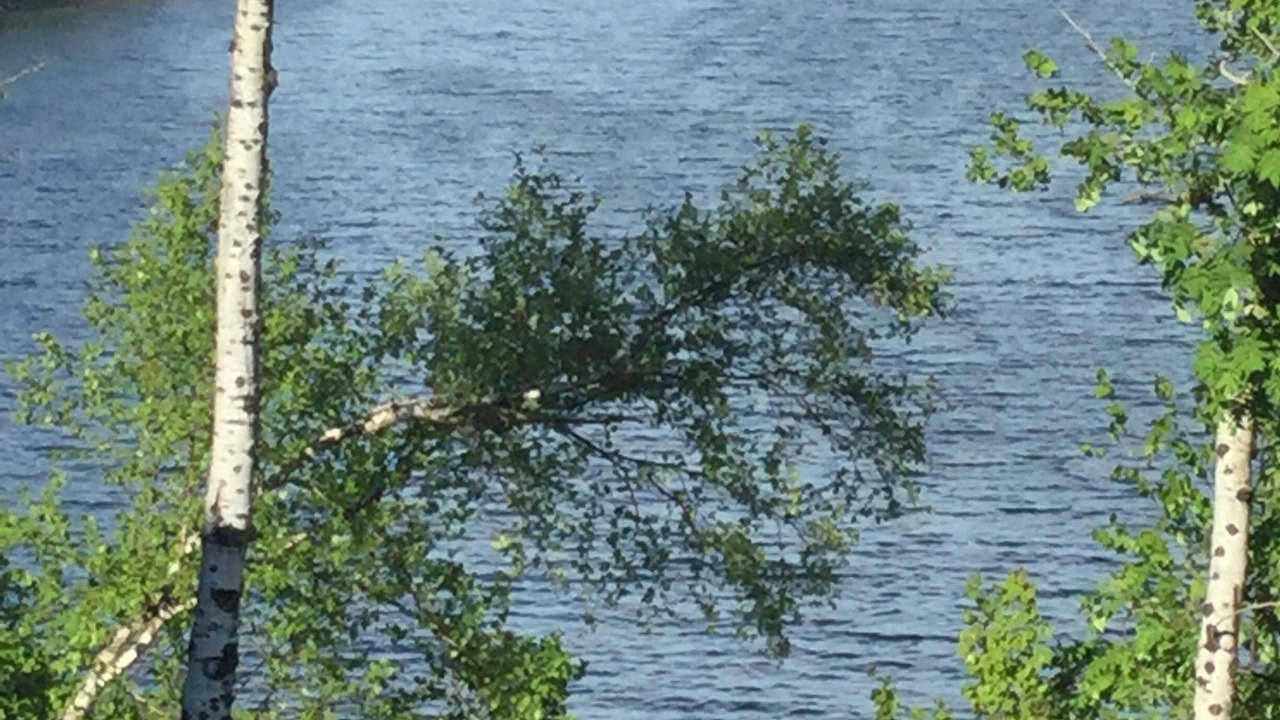 Photo of Others in Tofte