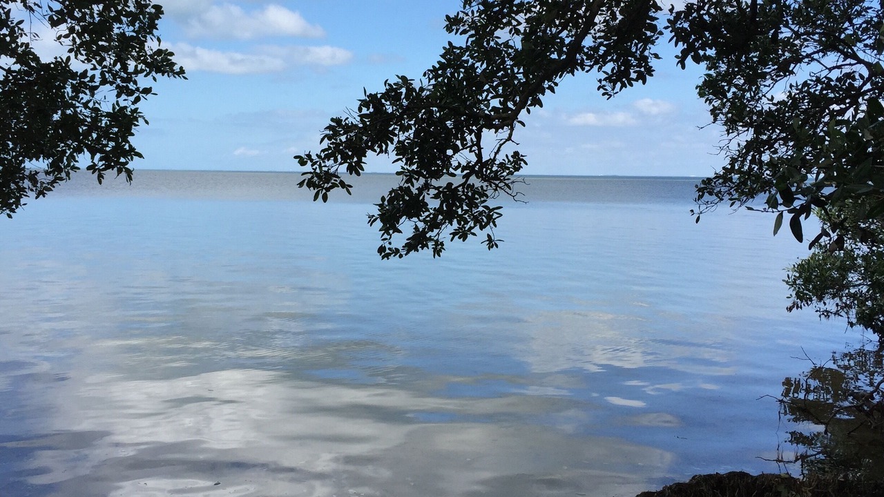 Photo of Outdoor in Bradenton Beach