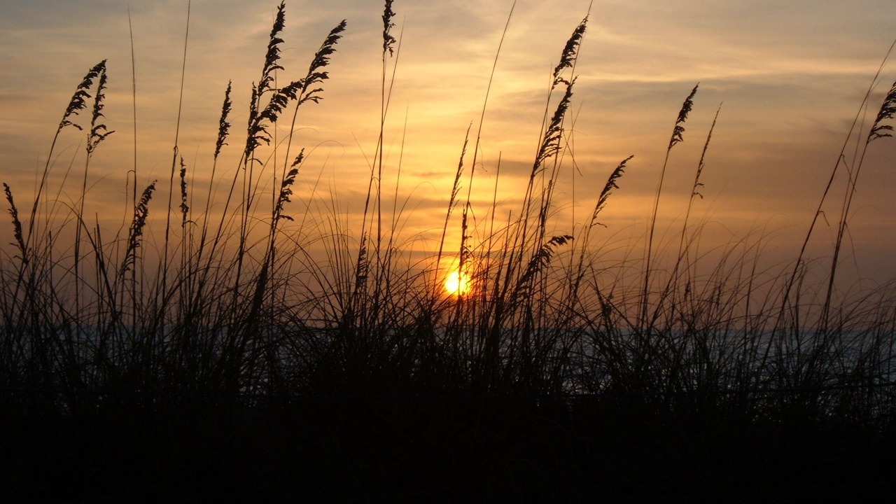 Photo of Others in Bradenton Beach