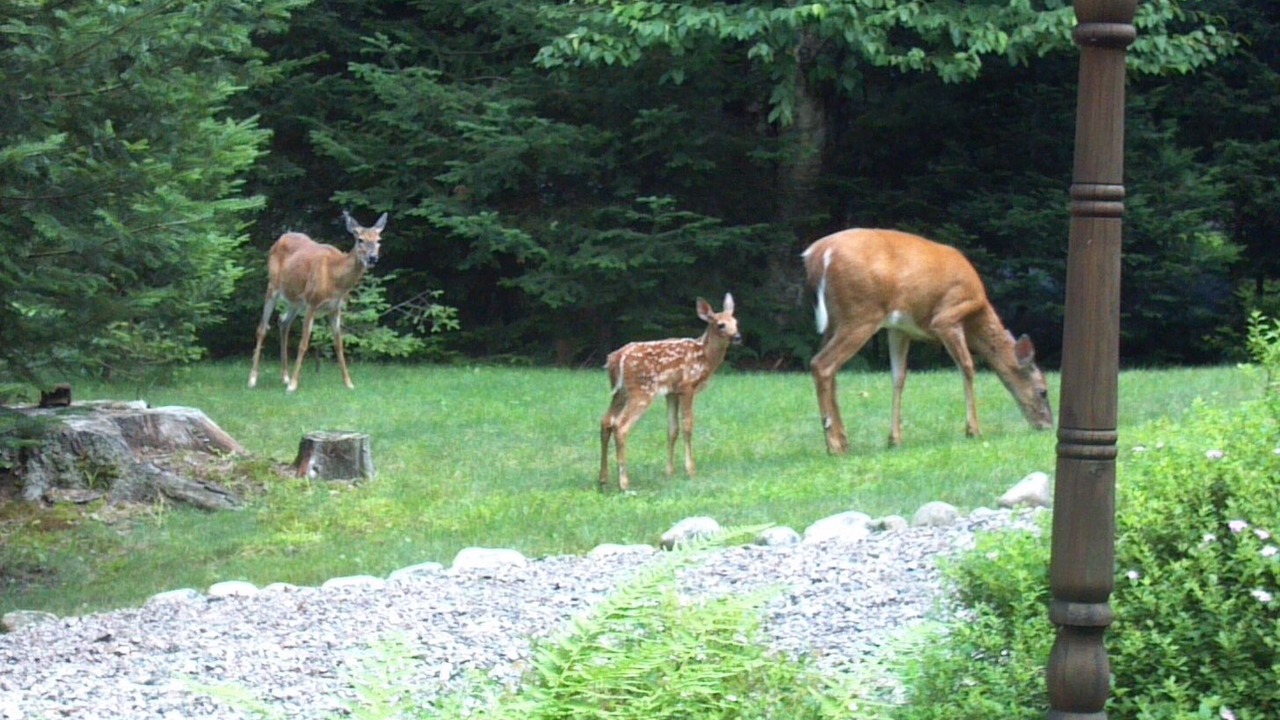 Photo of Others in Town of Webb