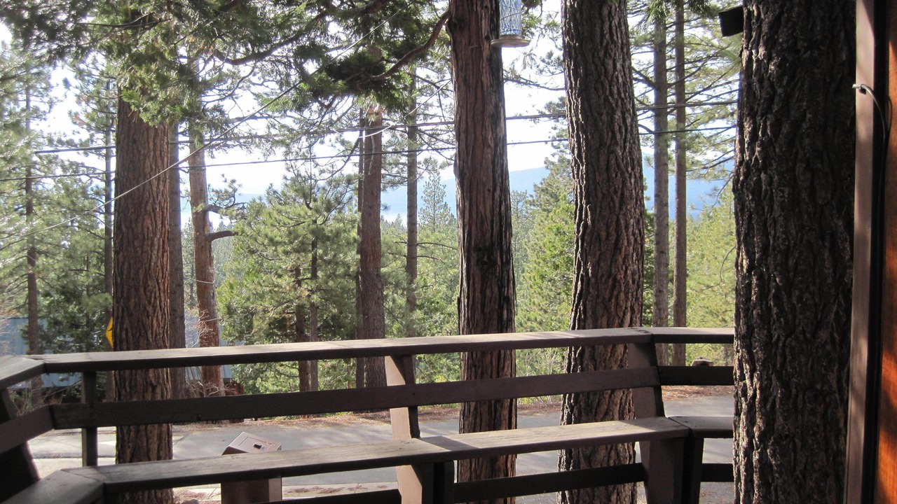 Photo of Outdoor in Kings Beach