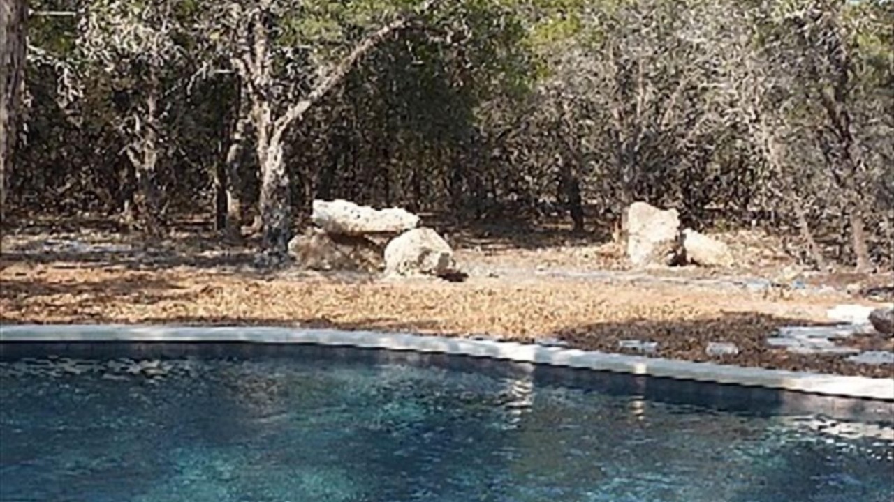Photo of Outdoor in Long Branch Valley