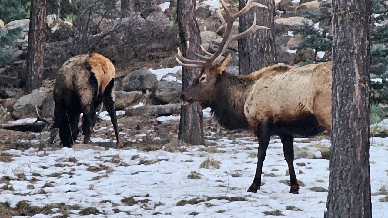 Photo of Others in Angel Fire