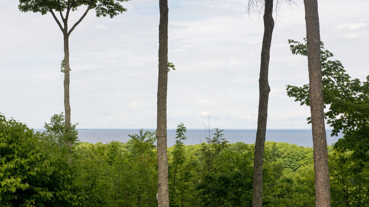 Photo of Outdoor in Egg Harbor