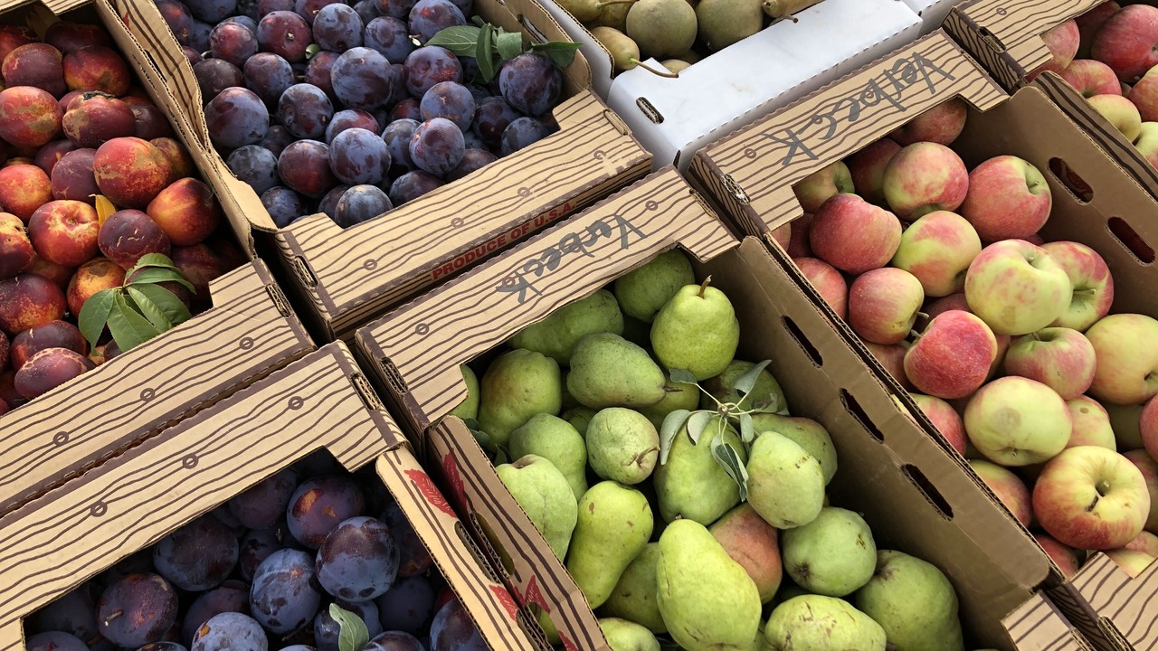 Photo of Others in Methow Valley