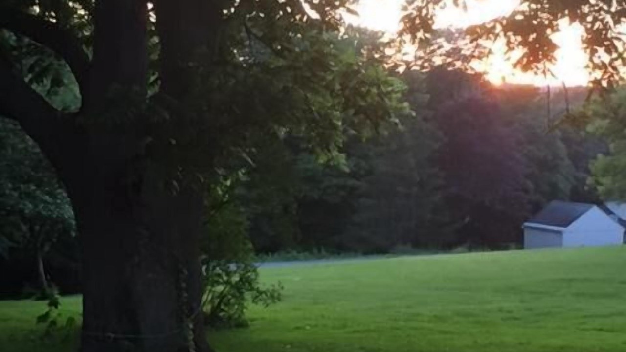 Photo of Outdoor in Mottville